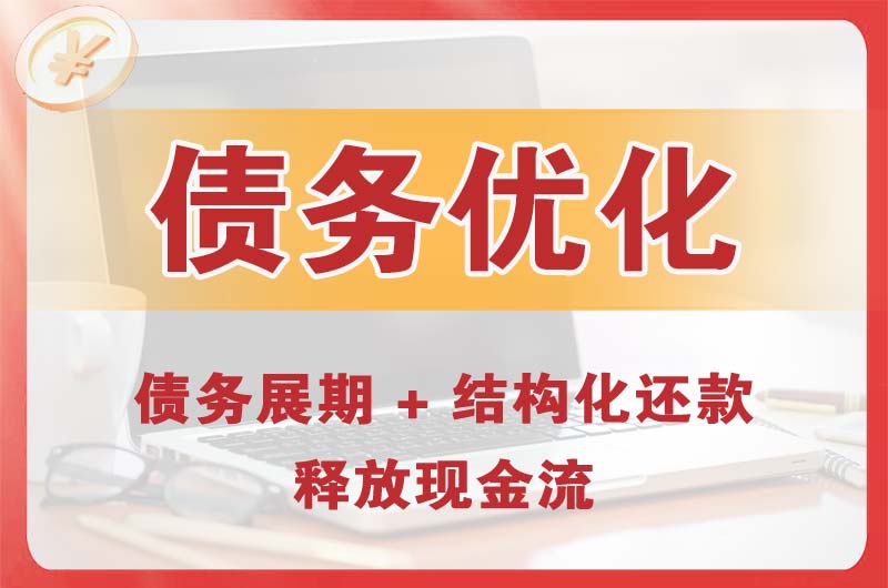 沙洋债务优化