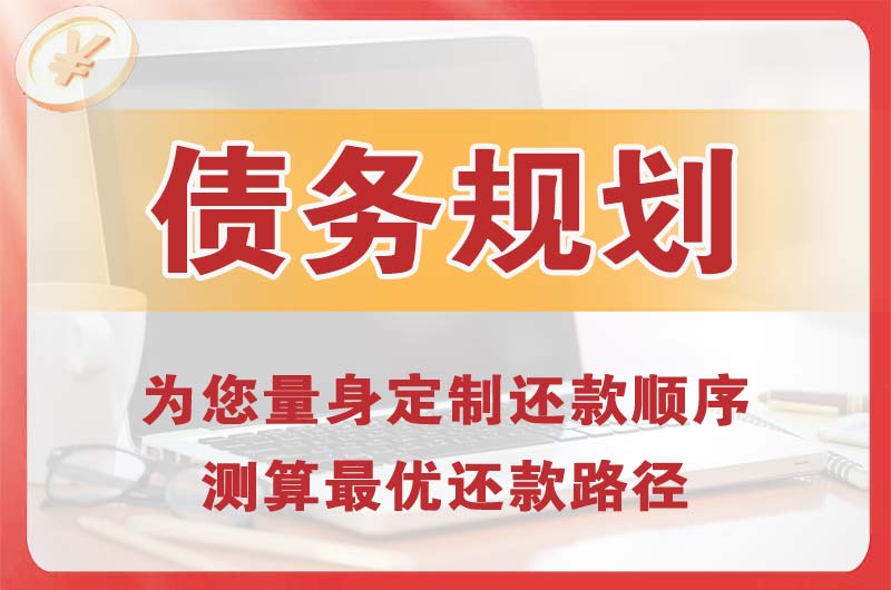 沙洋债务规划